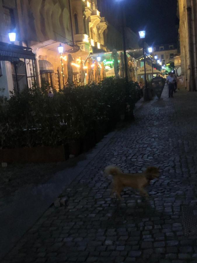 Charming quiet studio Coltea Old Town Bucarest Exterior foto
